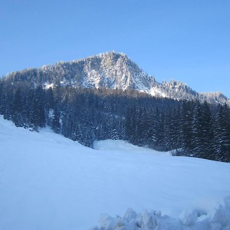Oberschlassbergbauer Wald im Pinzgau Dış mekan fotoğraf