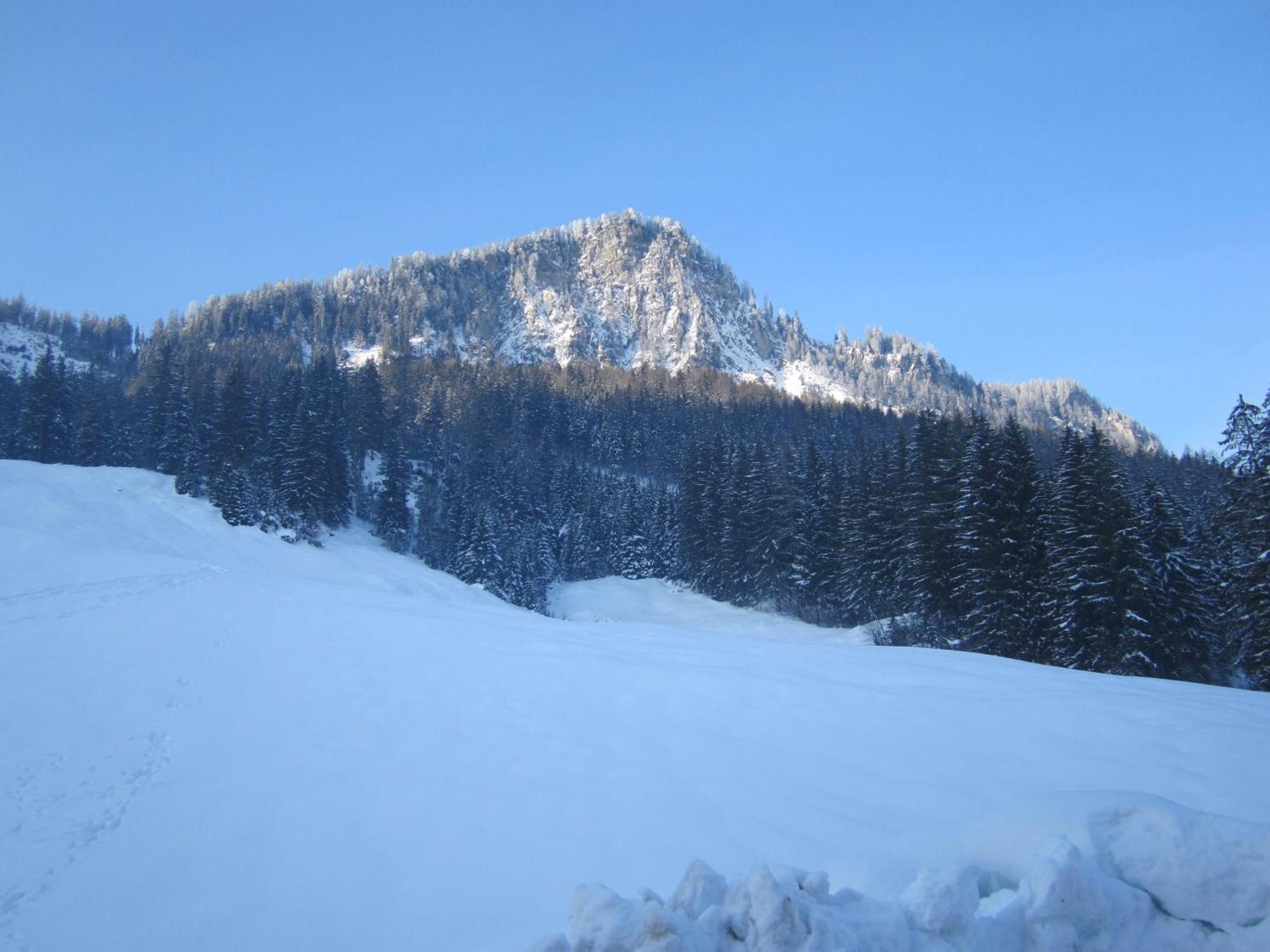 Oberschlassbergbauer Wald im Pinzgau Dış mekan fotoğraf